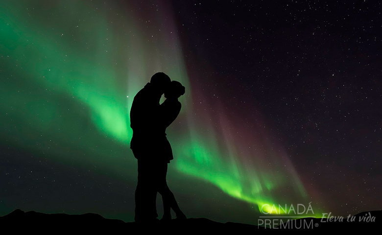 tours whitehorse canada