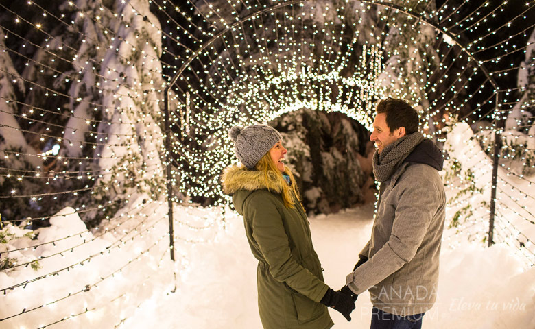 tours a calgary canada