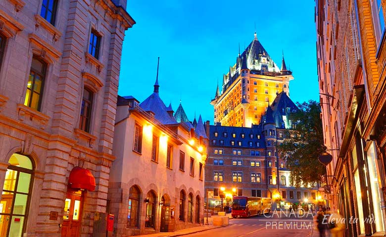 tours ballenas canada